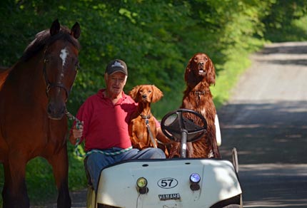 Cart Ride